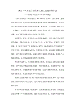 自贸试验区建设十周年心得体会二.docx