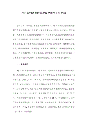 片区规划试点成果观摩交流会汇报材料.docx