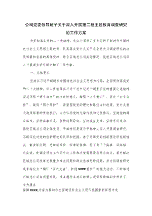公司党委领导班子关于深入开展第二批主题教育调查研究的工作方案.docx