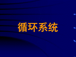 循环系统课件.ppt