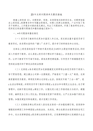 23年支部问题清单及整改措施.docx