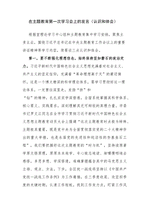 在主题教育第一次学习会上的发言（认识和体会）.docx