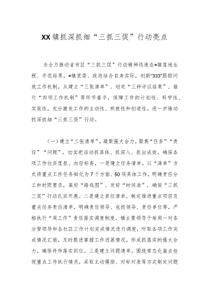 XX镇抓深抓细“三抓三促”行动亮点.docx