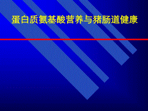 氨基酸营养与肠道健康.ppt