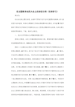 在主题教育动员大会上的讲话示例.docx