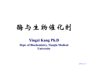 第03章酶ppt课件名师编辑PPT课件.ppt
