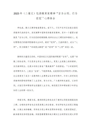 2023年（二篇文）弘扬教育家精神“言为士则、行为世范”心得体会.docx