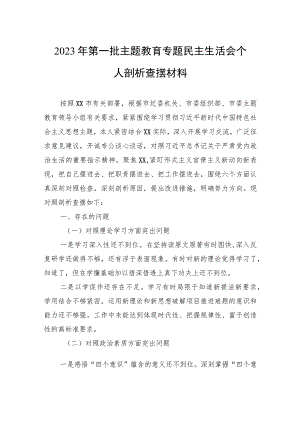 2023年第一批主题教育专题民主生活会个人剖析查摆材料 3篇.docx
