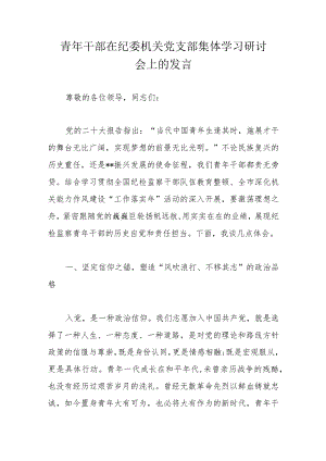 青年干部在纪委机关党支部集体学习研讨会上的发言.docx
