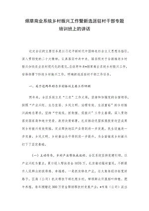 烟草商业系统乡村振兴工作暨新选派驻村干部专题培训班上的讲话.docx