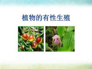 植物的有性生殖ppt课件.pptx