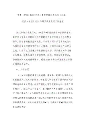 党委（党组）2023年第三季度党建工作总结(二篇).docx