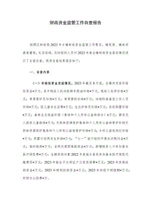财政资金监管工作自查报告.docx