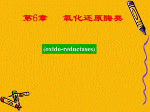 氧化还原酶类知识.ppt