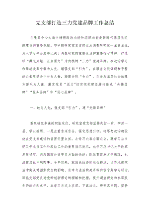 党支部打造三力党建品牌工作总结.docx