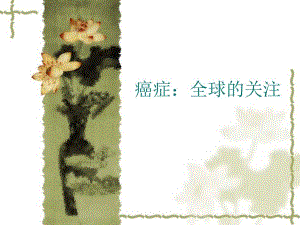 癌症全球的关注名师编辑PPT课件.ppt