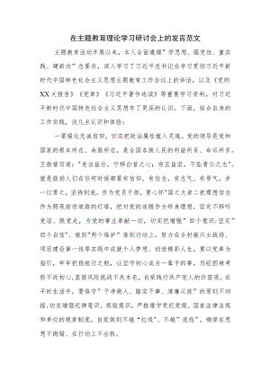 在主题教育理论学习研讨会上的发言范文.docx