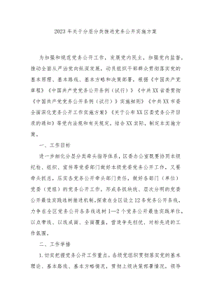 2023年关于分层分类推进党务公开实施方案.docx