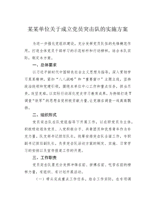 某某单位关于成立党员突击队的实施方案.docx