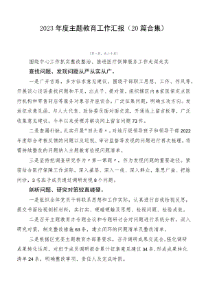 2023年度主题教育工作汇报（20篇合集）.docx