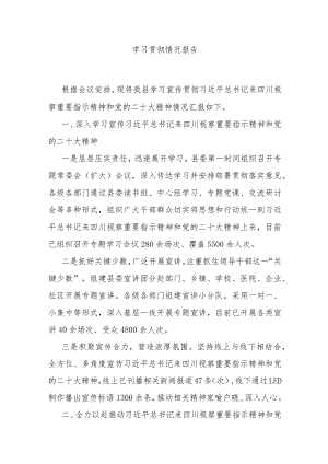 学习贯彻情况报告.docx