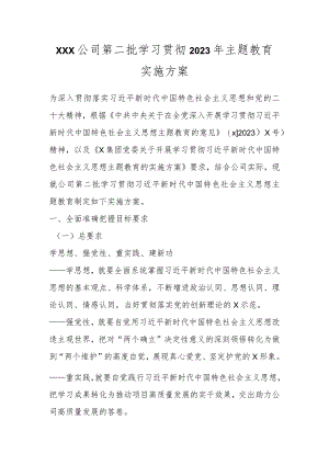 XXX公司第二批学习贯彻2023年主题教育实施方案.docx