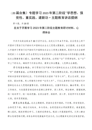 （20篇合集）专题学习2023年第二阶段“学思想、强党性、重实践、建新功”主题教育讲话提纲.docx