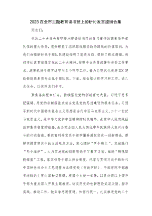2023在全市主题教育读书班上的研讨发言提纲合集.docx