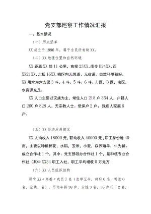 党支部巡察工作情况汇报.docx