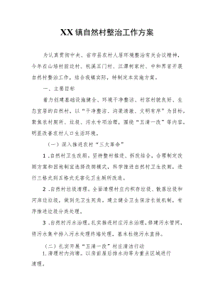 XX镇自然村整治工作方案.docx