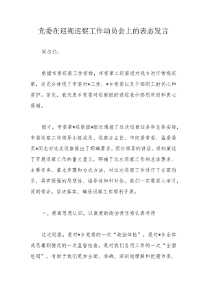 党委在巡视巡察工作动员会上的表态发言.docx