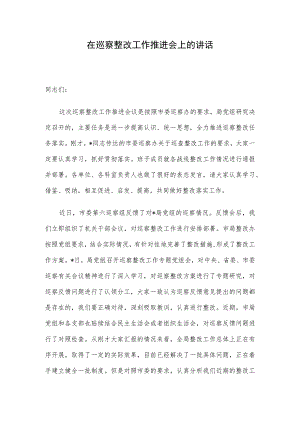在巡察整改工作推进会上的讲话.docx