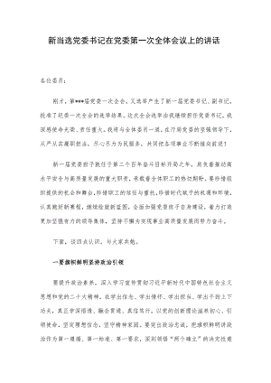 新当选党委书记在党委第一次全体会议上的讲话.docx