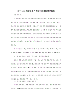 关于2023年安全生产专项行动开展情况报告.docx