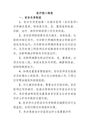 医疗核心制度.docx