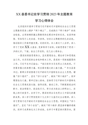 XX县委书记在学习贯彻2023年主题教育学习心得体会.docx
