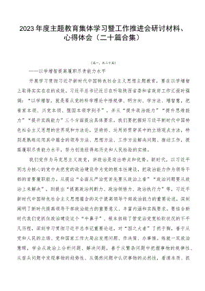 2023年度主题教育集体学习暨工作推进会研讨材料、心得体会（二十篇合集）.docx