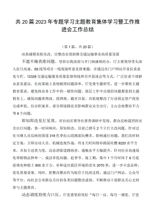 共20篇2023年专题学习主题教育集体学习暨工作推进会工作总结.docx
