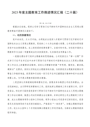2023年度主题教育工作推进情况汇报（二十篇）.docx