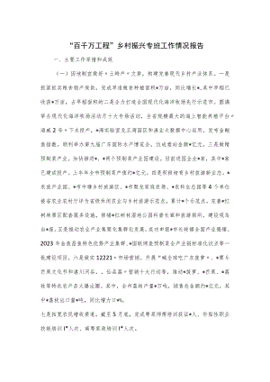 “百千万工程”乡村振兴专班工作情况报告.docx