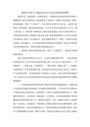 集团公司班子专题活动民主生活会对照检查材料.docx