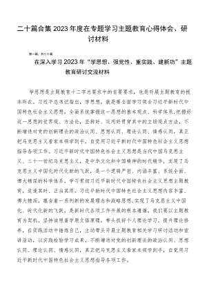 二十篇合集2023年度在专题学习主题教育心得体会、研讨材料.docx