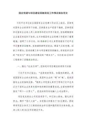 国企党建与项目建设双融双促工作情况报告范文.docx