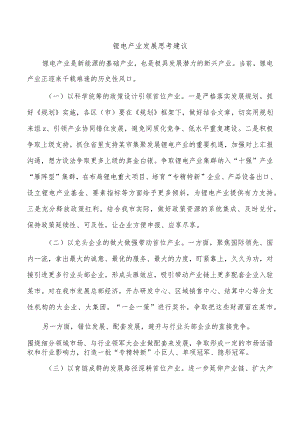 锂电产业发展思考建议.docx
