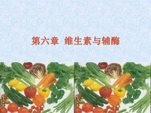 水溶性维生素与辅酶.ppt