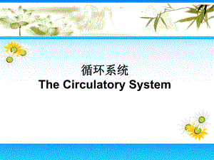 循环系统.ppt