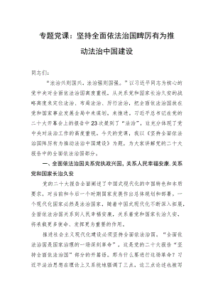 专题党课：坚持全面依法治国踔厉有为推动法治中国建设 .docx
