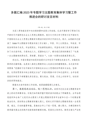 多篇汇编2023年专题学习主题教育集体学习暨工作推进会的研讨发言材料.docx