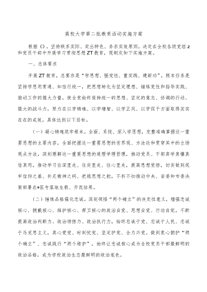 高校大学第二批教育活动实施方案.docx