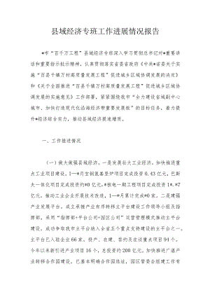 县域经济专班工作进展情况报告.docx